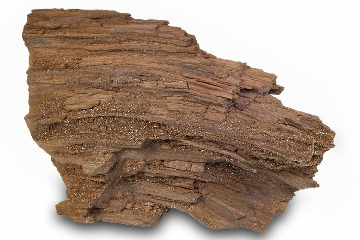 Permineralized Wood Covered In Sparkling Quartz -, Germany #263955